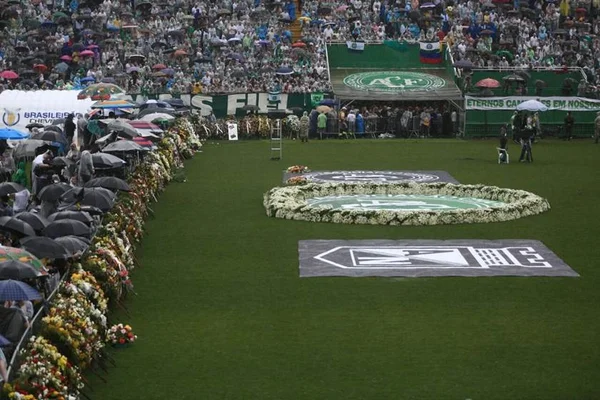 Palmeiras pode pegar Chape no dia 21, 1º rival do time após tragédia
