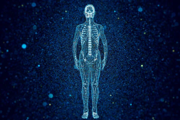 Ilustração de raioX do corpo humano - Metrópoles.