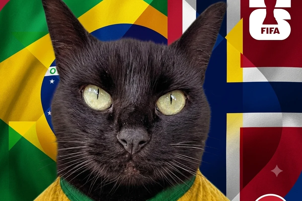 Imagem da Notícia