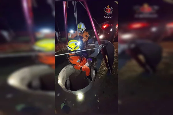 Cadela é resgatada após cair em poço de 25 metros de profundidade