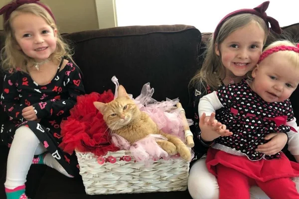Iti malia! Meninas brincam de SPA com gatinho e bombam na web