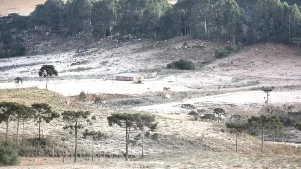 Serra de SC amanhece coberta de gelo e com temperaturas abaixo dos 5°C