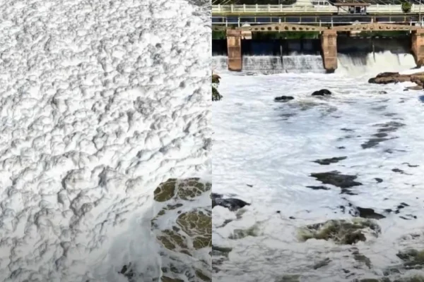 "Mar" de espuma branca cobre Rio Tietê - Metrópoles