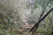Moça que deixou amigo em trilha no Paraná anuncia nova aventura - imagem 4 Moça que deixou amigo em trilha no Paraná anuncia nova aventura - imagem 4