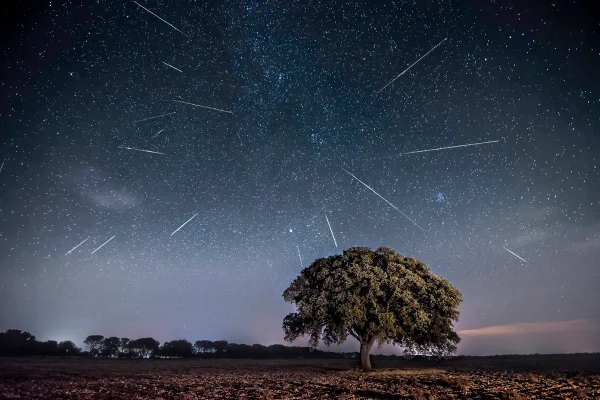 Imagem colorida de chuva de meteoros - Metrópoles