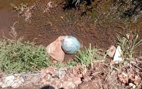 imagem colorida do corpo de recém-nascido encontrado dentro de saco em corrego goias