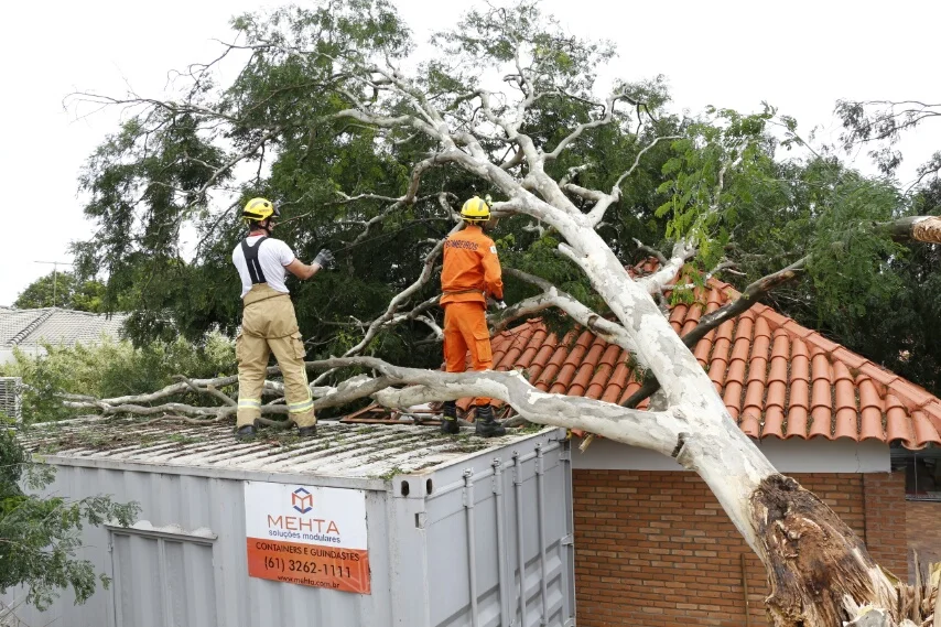 Chuva forte provoca alagamentos, queda de árvores e transtornos aos brasilienses. Veja vídeo - imagem 8 Chuva forte provoca alagamentos, queda de árvores e transtornos aos brasilienses. Veja vídeo - imagem 8