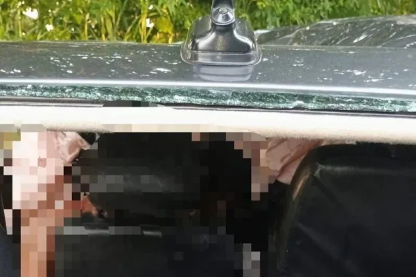 Colisão de carros deixa 1 pessoa morta na divisa entre AL e PB - Metrópoles