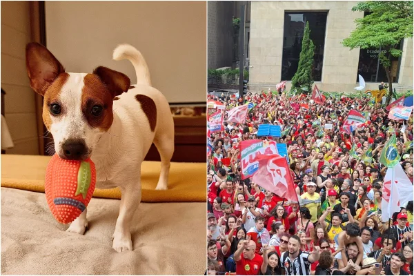 À esquerda, um cachorro da raça Jack Russell. À direita, a militância petista na Avenida Paulista na véspera das Eleições 2026