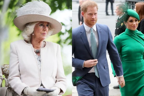 Entenda o ódio mortal de Camilla Parker Bowles por Harry e Meghan