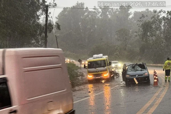 Mulher morre após árvore cair sobre carro em Taubaté - Metrópoles