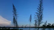 Previsão do Inmet é de céu limpo e temperaturas altas Previsão do Inmet é de céu limpo e temperaturas altas