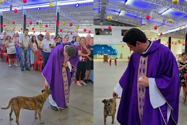 Cachorro entra com padre em missa e derrete a web; veja vídeo
