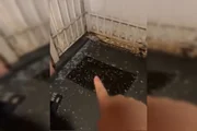 Moradora mostra granizo em casa