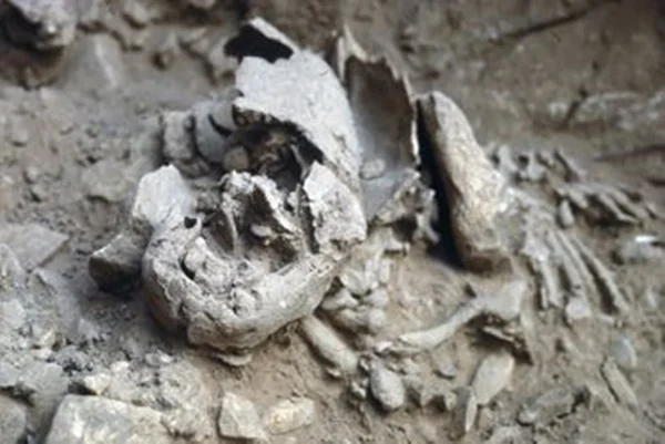 Imagem colorida mostra ossos de bebê neandertal - Metrópoles
