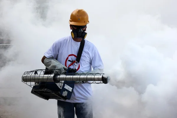 Mosquito borrachudo pode transmitir novo zika, alertam cientistas