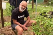 Ele planta maconha para fins medicinais