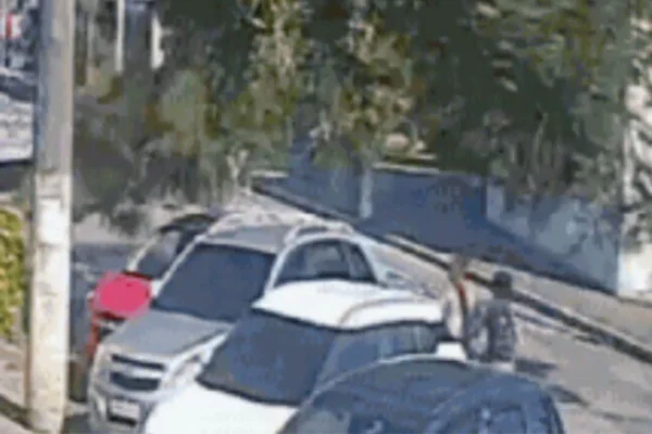 Carro com pai e filho é destruído por queda de árvore e nenhum se fere - Metrópoles