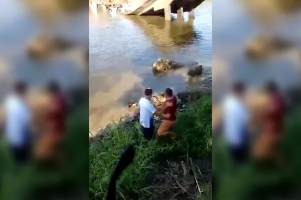 Pessoas deixam rio após ponte desabar