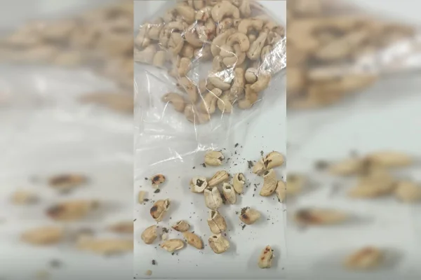 “Castonhas”: mulher tenta levar droga em castanhas a presídio do DF