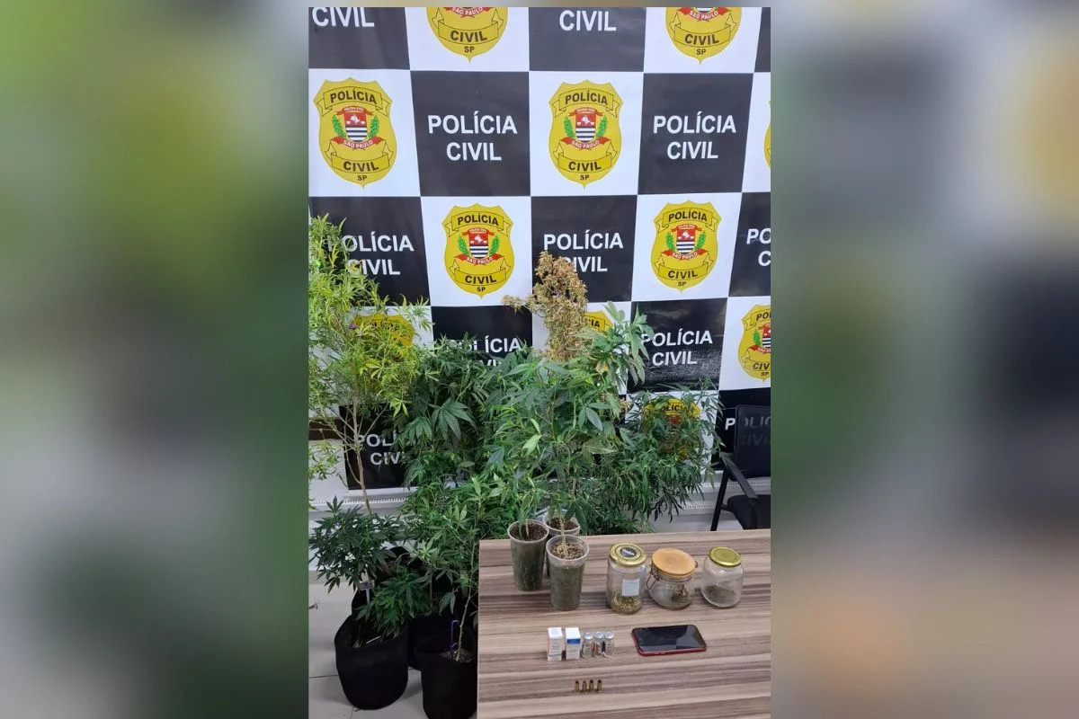 Operação policial no litoral norte contra o crime organizado prende 4, apreende drogas, armas e anabolizantes Operação policial no litoral norte contra o crime organizado prende 4, apreende drogas, armas e anabolizantes
