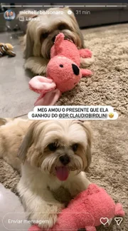 Foto com imagem de Bolsonaro editada Foto com imagem de Bolsonaro editada