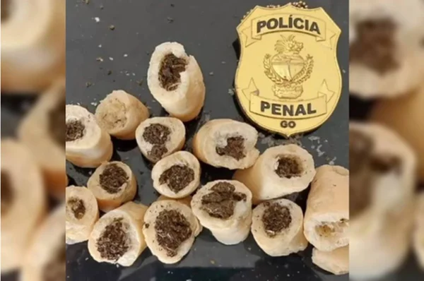 biscoitos de maconha apreendidos