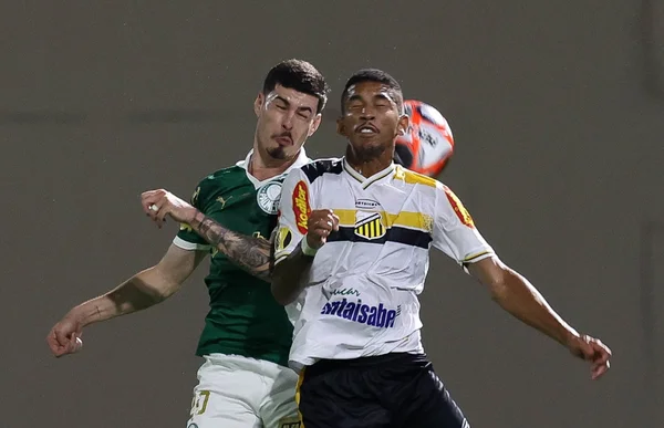 Campeonato Paulista: Palmeiras e Santos perdem na 4ª rodada