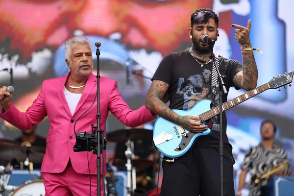 Em pedido ao TSE, PL erra e usa empresas sem relação com Lollapalooza