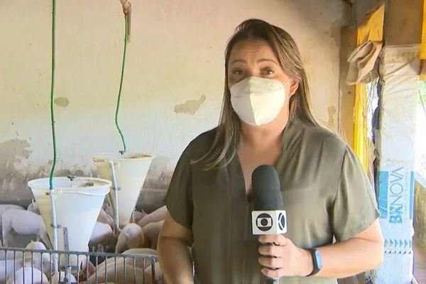 Vídeo: repórter é atacada por porcos durante gravação do Globo Rural