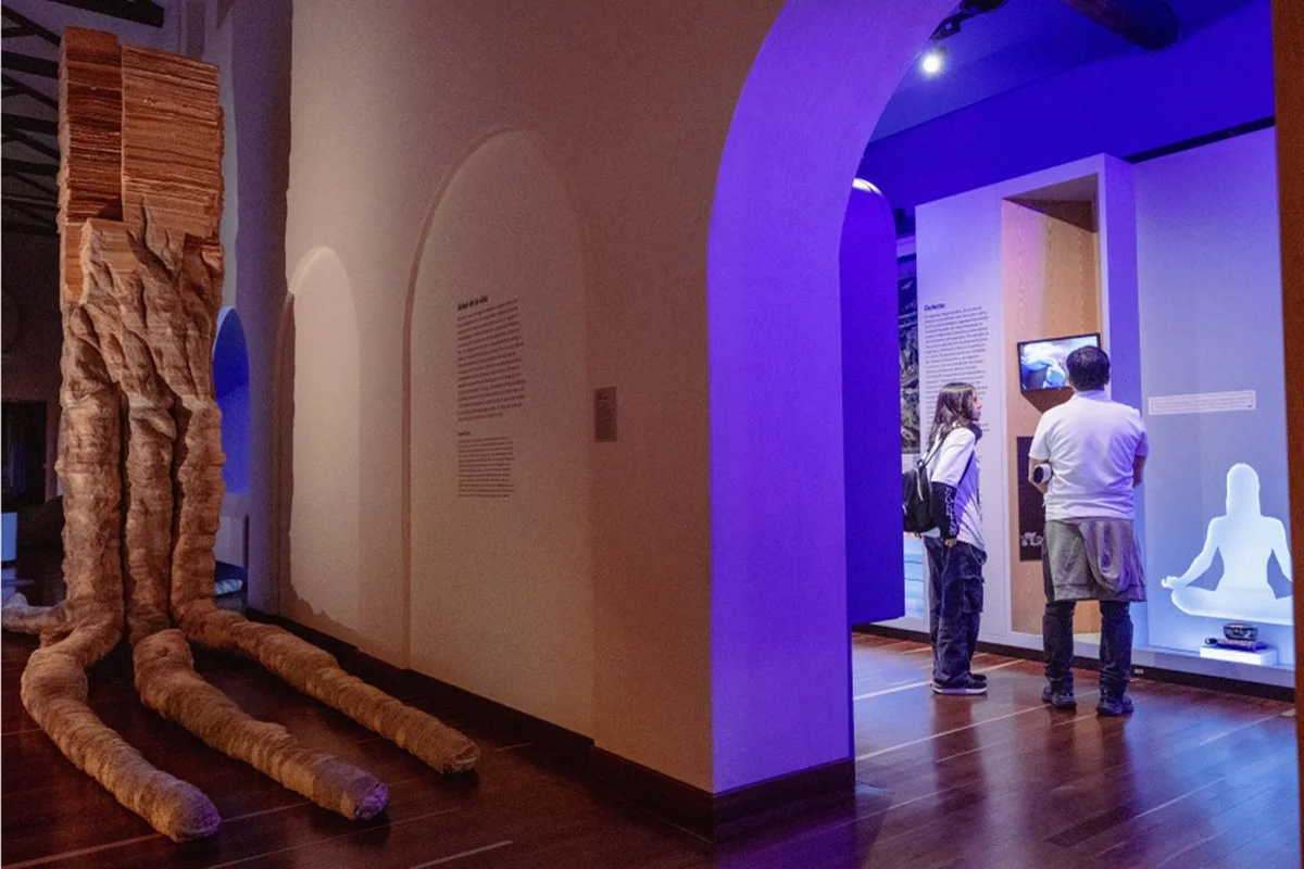 Entenda: Justiça determina que governo da Colômbia devolva obras retiradas de museu