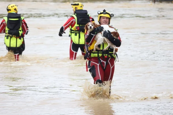 Foto colorida de bombeiro resgatando cachorro em Narcy, centro da França, em 20 de junho de 2024 por causa das chuvas