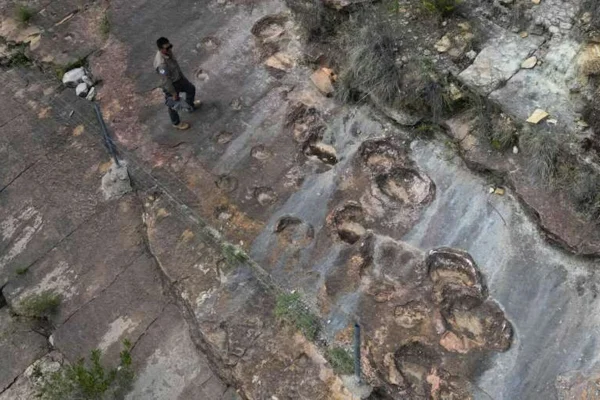 Foto colorida que mostra pegadas de dinossauro em um parque preservado na Bolívia. - Metrópoles.