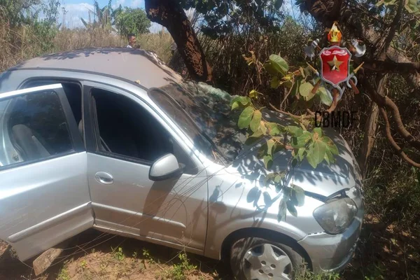 Acidente entre carro e árvore no DF