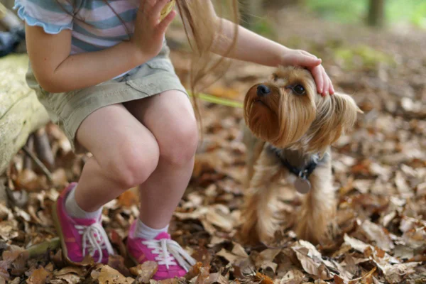 Imagem colorida de menina acariciando cachorro