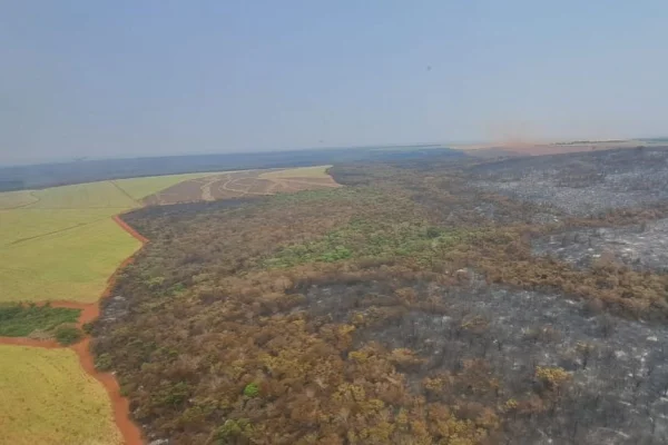 Sede da maior reserva de cerrado de São Paulo é atingida por incêndio