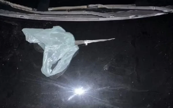 imagem colorida mulher morta facadas companheiro apos discussao dentro do carro goiania