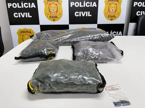 Segunda Via: PCDF apreende 21kg de pedras preciosas avaliadas em R$ 1,5 mi