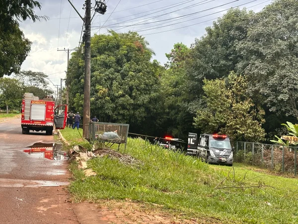 Mulher encontrada morta em córrego no DF vivia em situação de rua - destaque galeria Mulher encontrada morta em córrego no DF vivia em situação de rua - destaque galeria