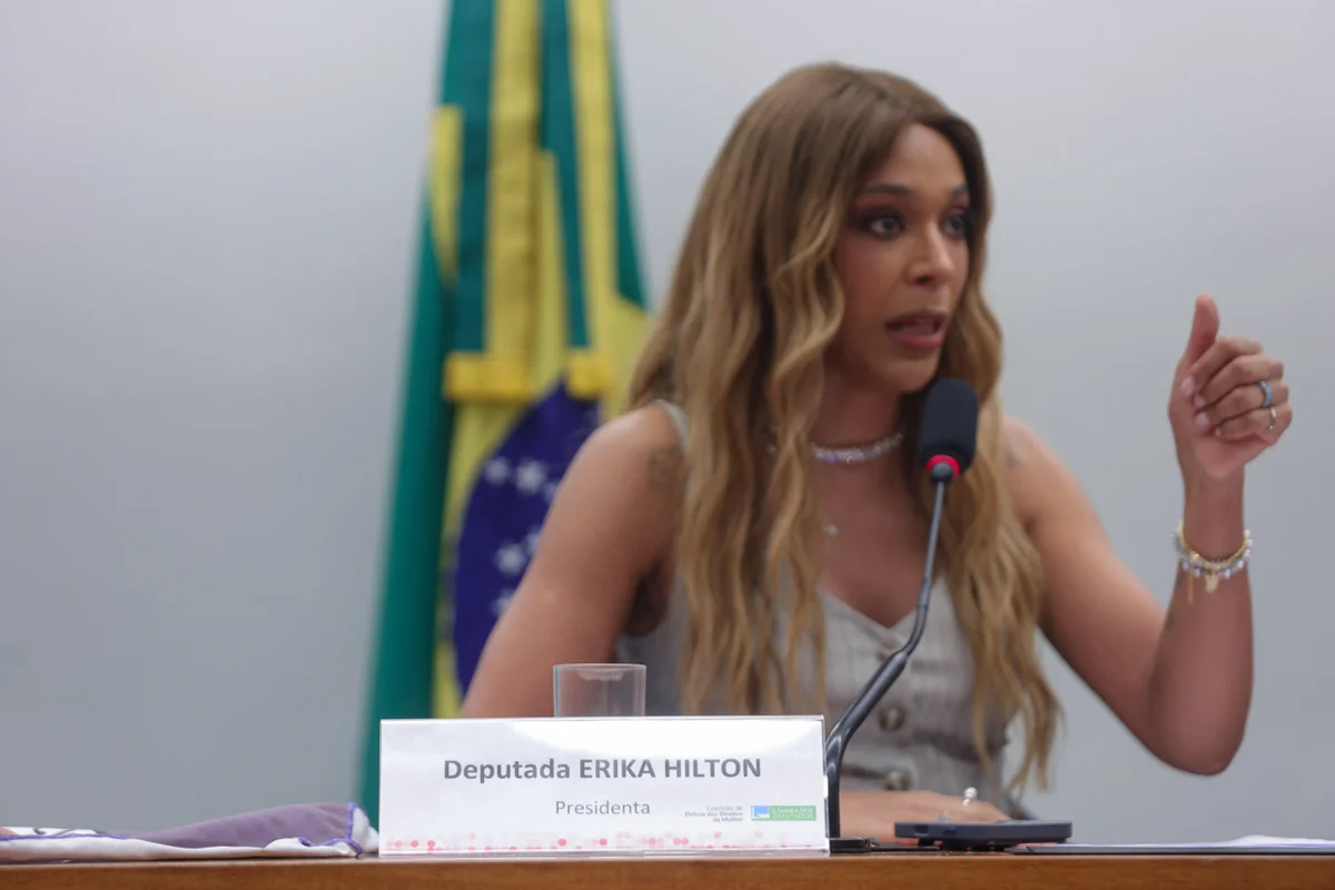Presidente da Comissão da Mulher, a deputada Erika Hilton (PSol-SP) Presidente da Comissão da Mulher, a deputada Erika Hilton (PSol-SP)