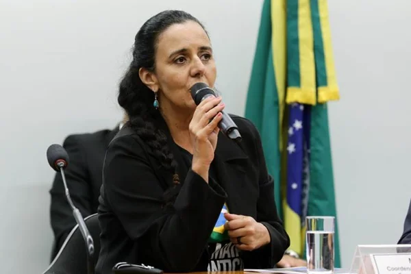 Brumadinho: danos ambientais são detalhados em comissão da Câmara
