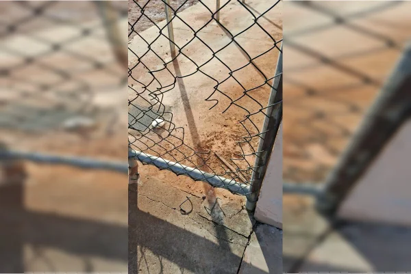 Preso fugiu da Papuda ao cortar alambrado durante serviço fora da cela