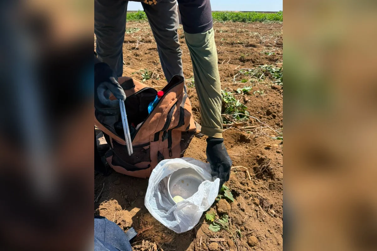 Das fiscalizações realizadas, mais da metade ocorreu em áreas rurais, onde 292 trabalhadores foram resgatados. Das fiscalizações realizadas, mais da metade ocorreu em áreas rurais, onde 292 trabalhadores foram resgatados.