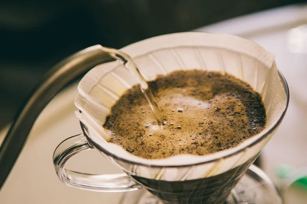 Café colhido das fezes de pássaro chega à cafeteria de Brasília