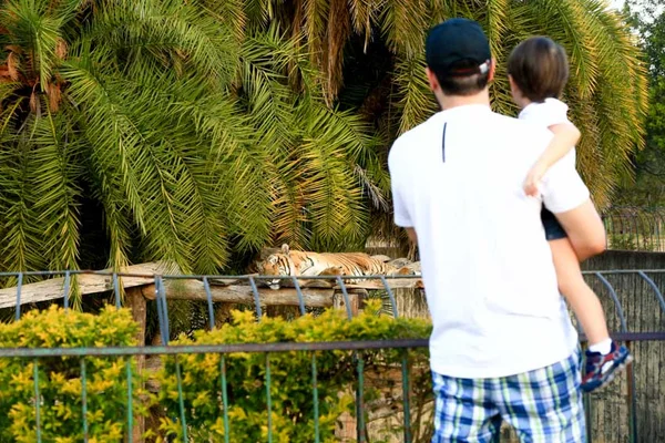 Zoo de Brasília passa a aceitar pagamento em Pix e cartão de crédito