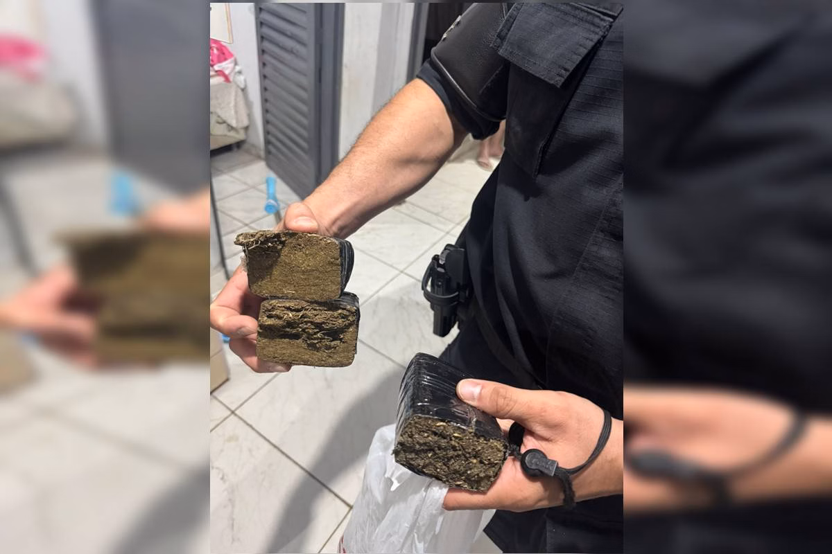 Foto colorida de um policial segurando duas porcoes de maconha 1