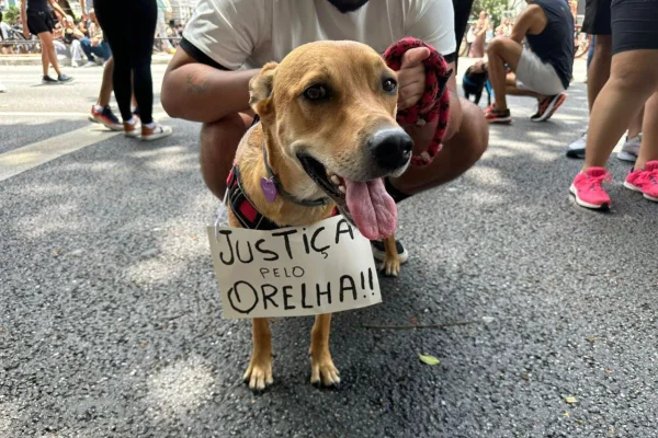 Manifestação que pede justiça pela morte do Cão Orelha aconteceu na manhã deste domingo (1°/2), em frente ao Masp, região central de SP - Metrópoles