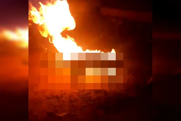 Vídeo. No Entorno do DF, trio ateia fogo em gato, filma e põe na web