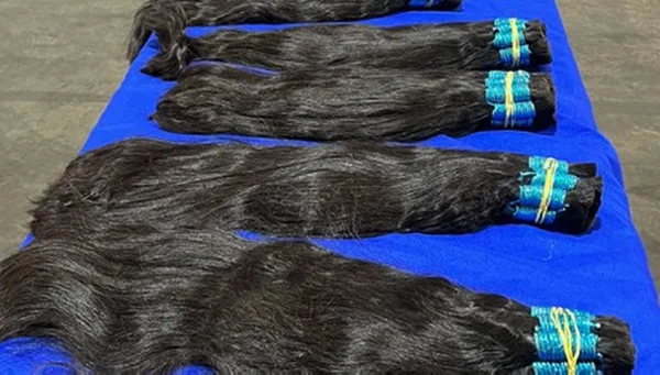 Imagem colorida de carregamento de cabelo humano apreendido pela Receita Federal - Metrópoles