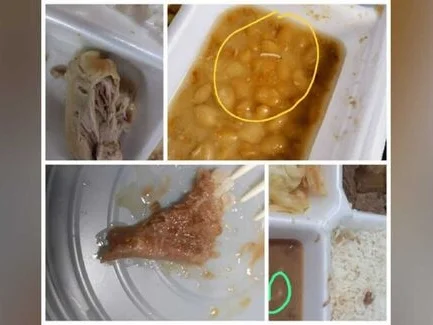 comida-com-larvas-mosca-cabelo-ms-metropoles